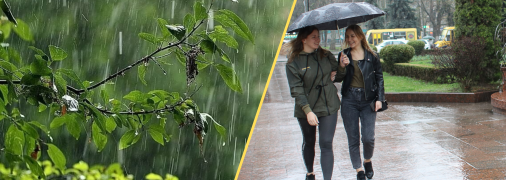 Ожидаются дожди и грозы