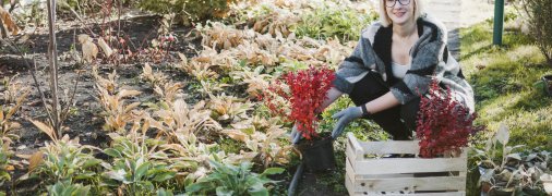 Деякі культури ще зростатимуть на городі восени