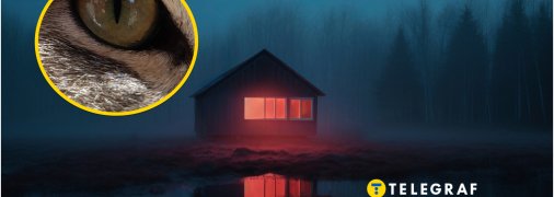 Звір налякав людей