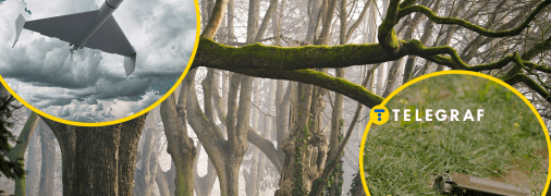 Лес, "Шахед", мина