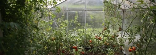 Розкриваємо великий секрет