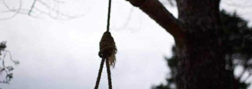 Петля на дереві