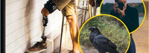 Скандал із вороною в Одесі