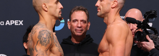 Гвоздик - Калайджич