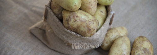 Картопля зеленіє через одну просту причину