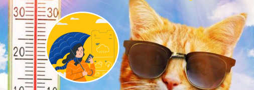 Коллаж "Телеграфа"