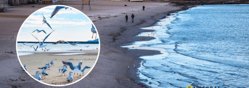 Чорне море в Одесі