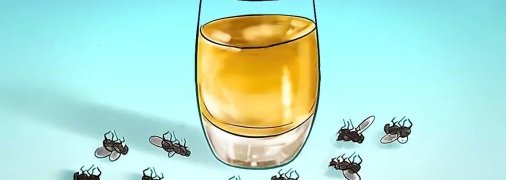 Избавиться от мух можно лишь одним уксусом