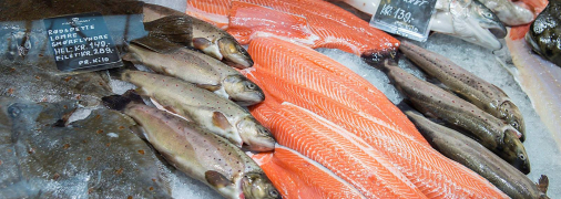 Рыба на прилавке