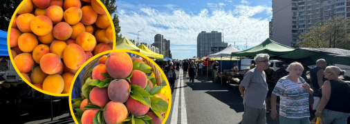 Ярмарки в столице проводятся каждую неделю