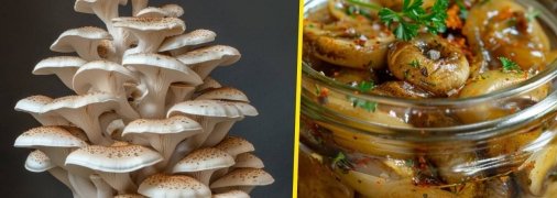 Маринованные вешенки станут великолепной закуской для вашего стола (изображение создано с помощью ИИ)