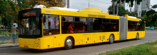 Бесплатный проезд в общественном транспорте