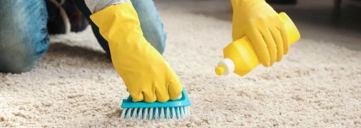 Чистка ковра
