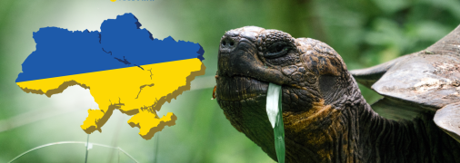 Справжні довгожителі можуть жити понад 70–100 років