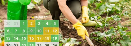 Самые благоприятные дни для посева овощей в апреле