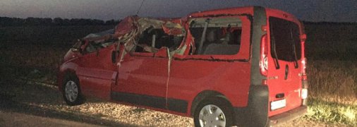 Как в фильмах ужасов: упавшее из грузовика бревно размозжило микроавтобус в РФ (фото)