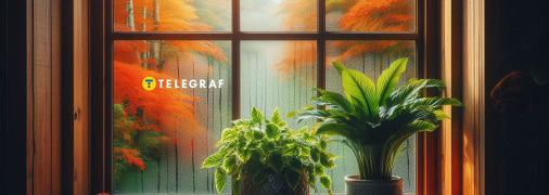 Конденсат на окнах