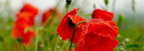 В Україну йде похолодання: кому особливо не пощастить з погодою