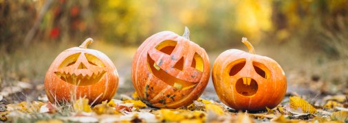 Конец осени отмечается в пятницу, 31 октября