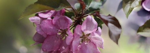 Какие завтра праздники: традиции и приметы на 23 июня