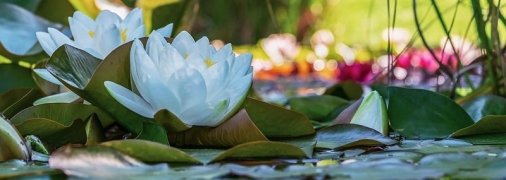 Какие завтра праздники: традиции и приметы на 18 июня