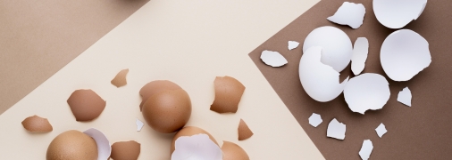 Яєчна шкаралупа як добриво