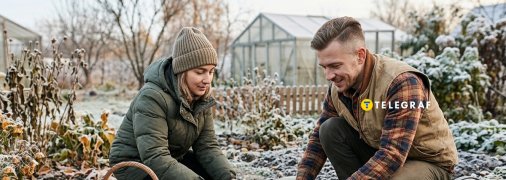 Навіть після перших заморозків на городі можна щось посадити