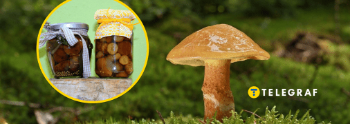 Як правильно закрити гриби на зиму