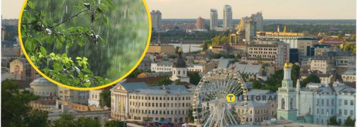 Погода в столиці України