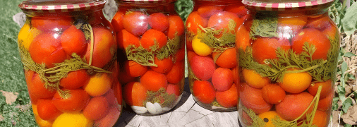 Мариновані помідори з морквяним бадиллям мають насичений смак