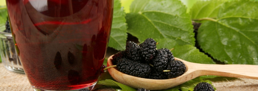 Вина и настойки из шелковицы: 5 рецептов в домашних условиях