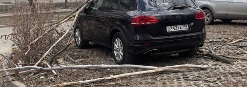 Ветер повалил деревья