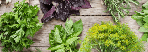 Свіжа зелень