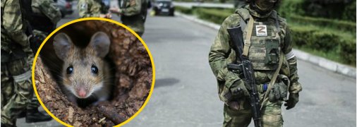 Коллаж "Телеграф"