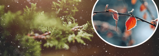 Погода в Украине