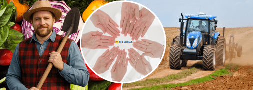 Продукция пропадает