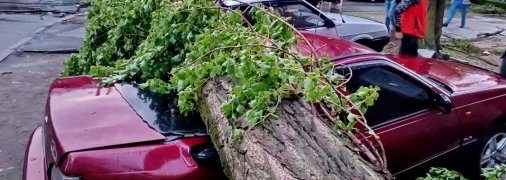 Наслідки буревію у Києві