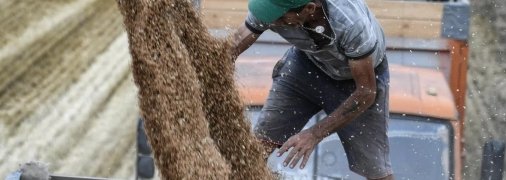 Украина должна попытаться договориться с Польшей о транзите зерна