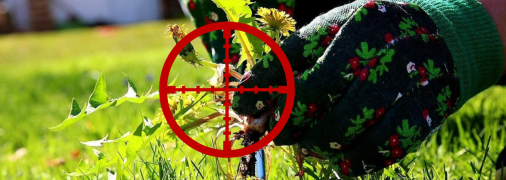 Метод, що ідеально підходить для весни