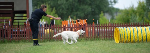 Знайти героя у своєму собаці: як українці можуть долучитися до пошуково-рятувальної служби