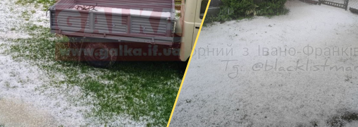 Град побил маленькие растения