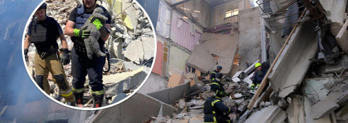 Спасение кота в Мирнограде