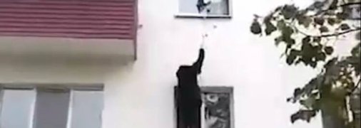 Кот застрял в окне и едва не погиб