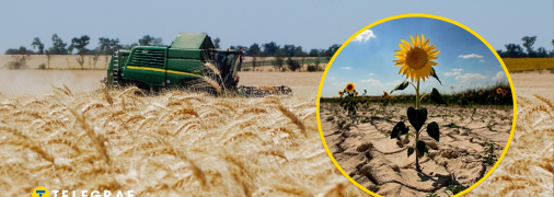 Через зростання температури культури потребують нових рішень