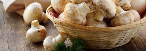 Свіжі печериці