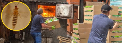 Заражені вантажі знищили у вогні