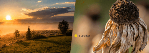 Жара в Украине