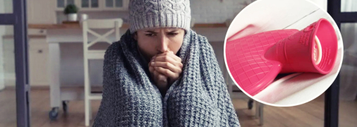 Зима предстоит непростая, поэтому для сохранения тепла пригодятся любые подручные средства