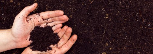 Чем подпитать землю в марте