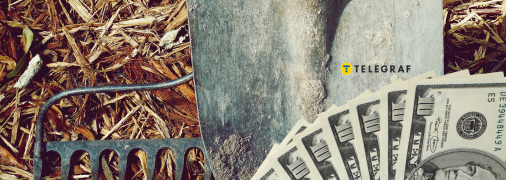 Что посадить на участке, чтобы было больше денег и удачи